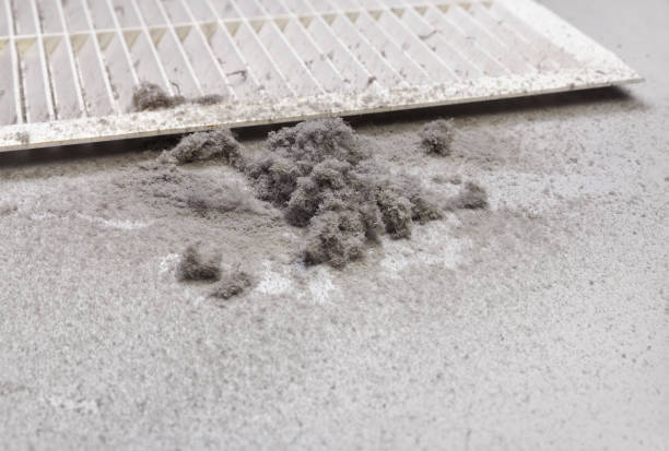 Best Emergency Air Duct Cleaning  in Shark River Hills, NJ