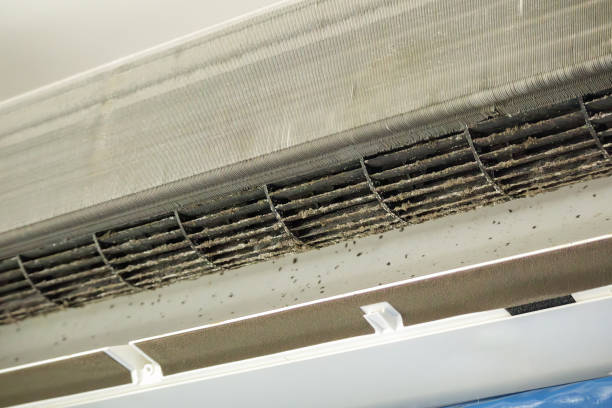 Best HVAC Maintenance and Cleaning  in Shark River Hills, NJ