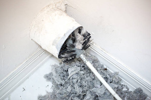Best Home Air Vent Cleaning  in Shark River Hills, NJ